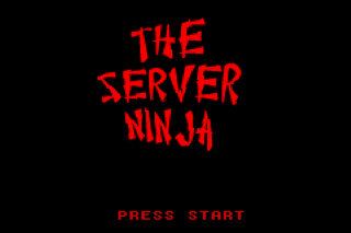 The Server Ninja