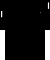 Thumbnail for version as of 13:40, 10 July 2023