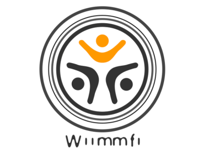 Auto Wiimmfi Patcher (Disc)
