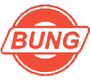 Bung Logo Demo