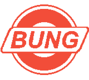 C-99bung.png