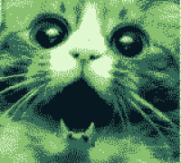 Catgb.png