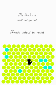 Chat Noir DS