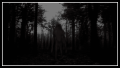 Thumbnail for version as of 01:29, 31 March 2024
