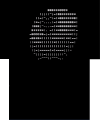 Thumbnail for version as of 04:41, 2 February 2025