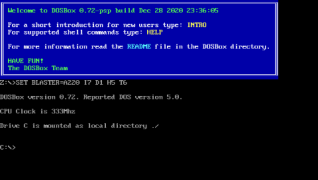 DOSBox PSP