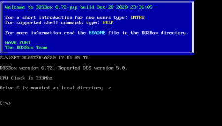 DOSBox PSP