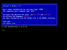 DOSBox Wii