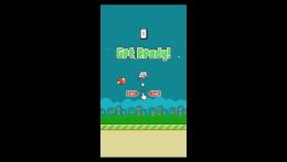 FlappyBird Classic