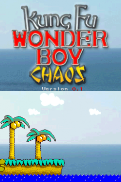 Kung Fu Wonder Boy Chaos