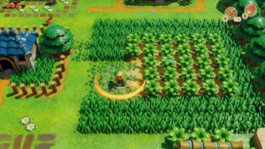 Link's Awakening - No DOF Blur