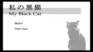 My Black Cat