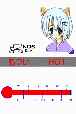 NDS Thermometer