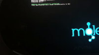 Noledvita2.png