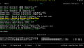 Thumbnail for version as of 03:50, 24 March 2024