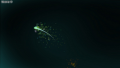 Thumbnail for version as of 10:50, 15 October 2021