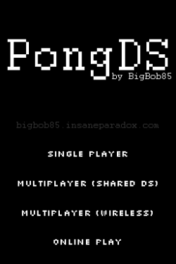 PongDS