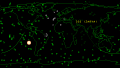Thumbnail for version as of 12:36, 15 October 2021