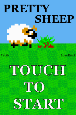 Pretty Sheep