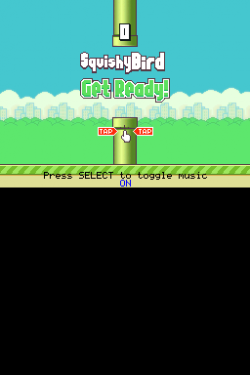 Squishy Bird DS
