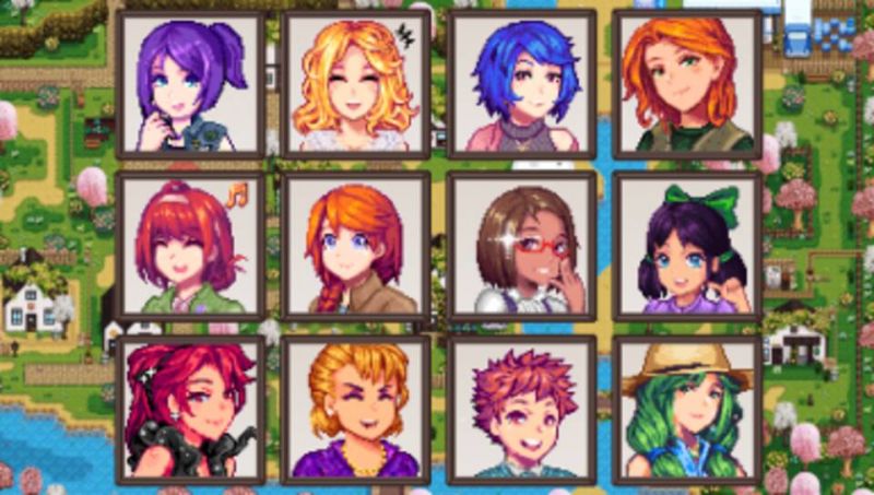 File:Stardewvalleychamplooanimemodvita.jpg