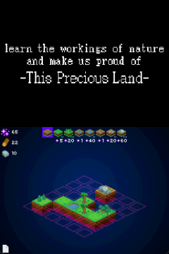 This Precious Land DS
