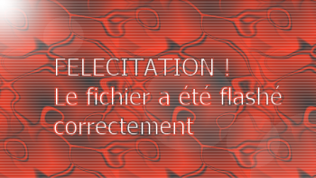 Ultimate Flasher PSP