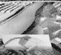 Thumbnail for version as of 12:24, 8 September 2023