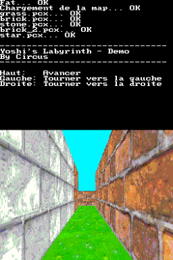 Yoshi's Labyrinth